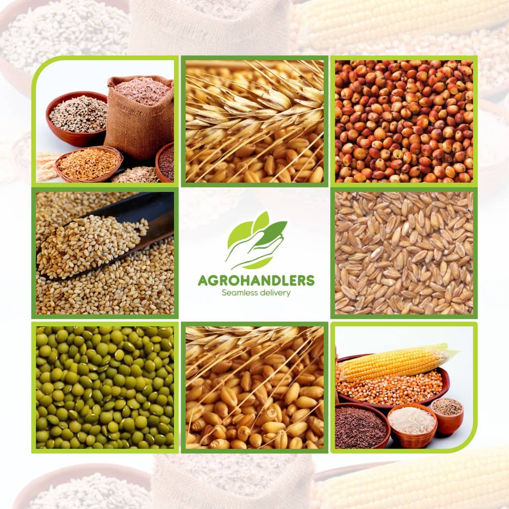 GRAINS & SEEDS