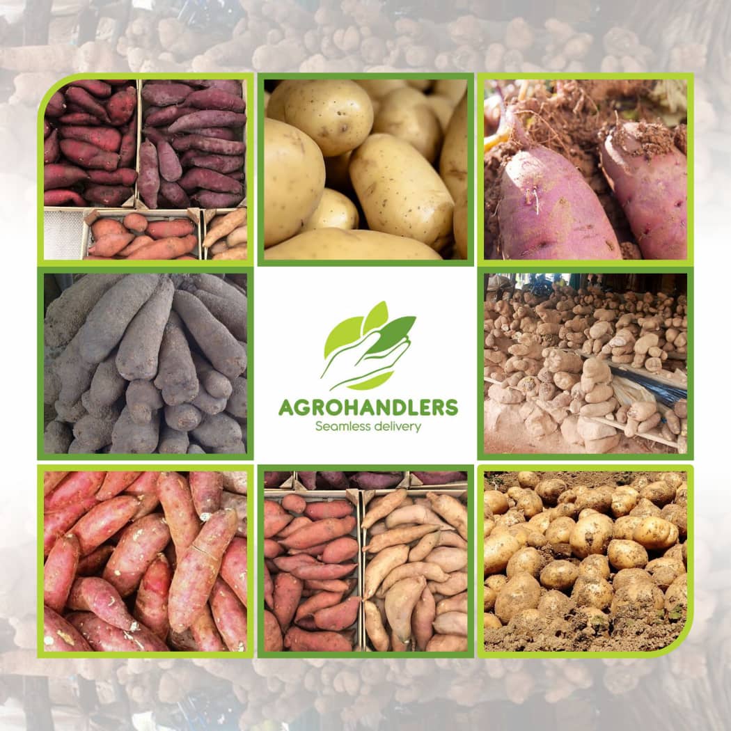 TUBERS